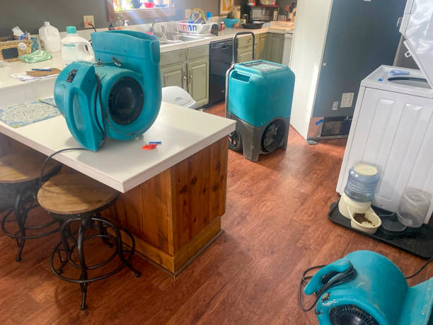 Best Residential water damage restoration  in East Ithaca, NY