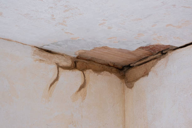 Local water damage restoration in East Ithaca, NY