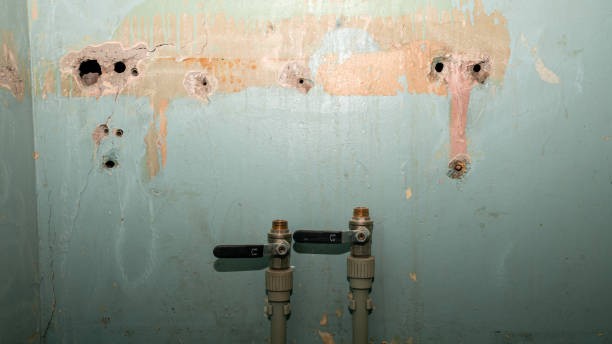Professional Water damage restoration in East Ithaca, NY