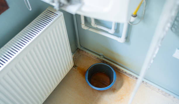 Best Water damage cleanup near me  in East Ithaca, NY