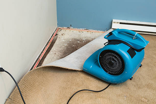 Best Local water damage restoration  in East Ithaca, NY